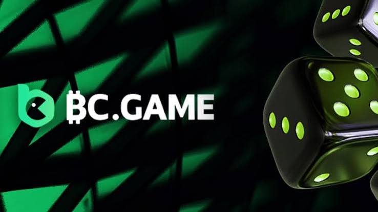Exploring Payment Methods on BC.Game for Indian Players